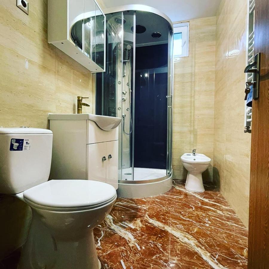 Apartamento La Bunici Baia Mare Exterior foto